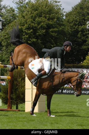 Reitsport - Aga Khan Challenge Trophy - der Failte Ireland Dublin Horse Show Stockfoto