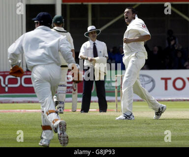 Der englische Steve Harmison (R) feiert das letzte Wicket des australischen Michael Kasprowicz, das am vierten Tag vom Wicketkeeper Geraint Jones (L) gefangen wurde. Stockfoto
