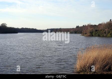 Ein See im Windsor Great Park in der Nähe von Virginia Water, Surrey als Reisende wurden vor möglichen Störungen durch einen 100-Meilen breiten Korridor von Schnee nach Osten nach Großbritannien bewegt gewarnt. Stockfoto