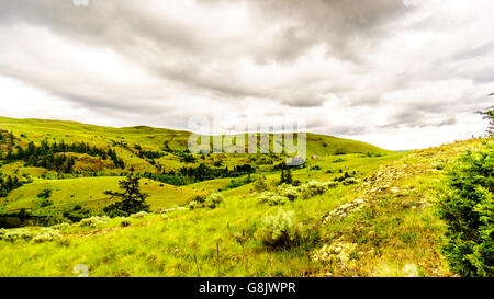 Rolling Hills und Grasland in der Nicola Valley in der Nähe von Merritt Britisch-Kolumbien, Kanada Stockfoto