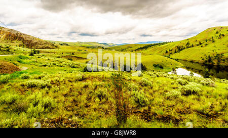 Rolling Hills und Grasland in der Nicola Valley in der Nähe von Merritt Britisch-Kolumbien, Kanada Stockfoto