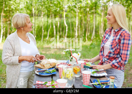 Sommer-Picknick Stockfoto