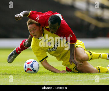 Fußball - freundlich - Watford / Charlton Athletic - Vicarage Road Stadium. Matt Holland von Charlton Athletic wird bei der Herausforderung von Watfords Al Bangura verletzt, was dazu führte, dass er abbricht Stockfoto