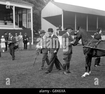 Der Herzog von York mit Romer Williams, der die Harness Ponys auf der Richmond Horse Show inspiziert. Stockfoto