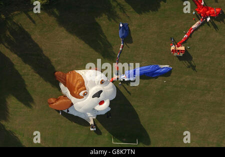 Ein Churchill Dog geformter Ballon nach der Landung in Bristol, nachdem mehr als hundert in den Himmel gingen, um eine spektakuläre Show auf Europas größtem Heißluftballonfestival zu schaffen. Stockfoto