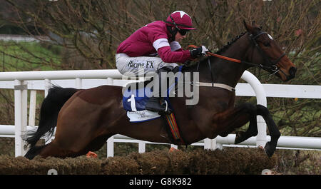 BHP Versicherungen Irish Champion Hurdle Tag - Lepoardstown-Rennen Stockfoto