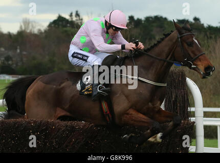 Douvan mit Ruby Walsh springt als Letzter und gewinnt den Frank ward Solicitors Arkle Novice Chase während des Hurdle Day der BHP Insurances Irish Champion im Leopardstown Racecouse, Dublin. DRÜCKEN SIE VERBANDSFOTO. Bilddatum: Sonntag, 24. Januar 2016. Siehe PA Geschichte RENNEN Leopardstown. Bildnachweis sollte lauten: Niall Carson/PA Wire. Stockfoto