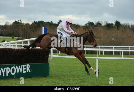 BHP Versicherungen Irish Champion Hurdle Tag - Lepoardstown-Rennen Stockfoto