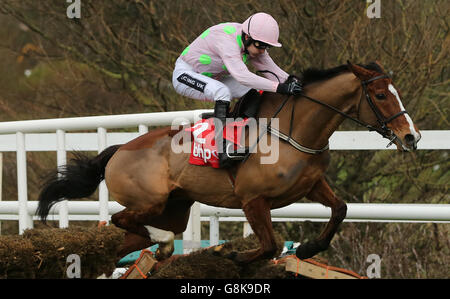 BHP Versicherungen Irish Champion Hurdle Tag - Lepoardstown-Rennen Stockfoto