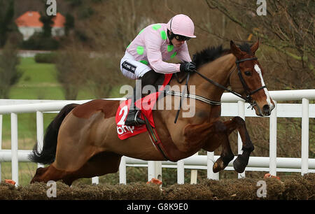 BHP Versicherungen Irish Champion Hurdle Tag - Lepoardstown-Rennen Stockfoto