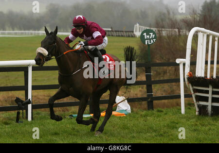 Boylesports Tied Cottage Chase Tag - Punchestown Rennen Stockfoto