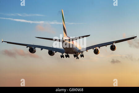 Rückansicht des ein Emirates Airbus A380-800 Landung bei Sonnenuntergang am Flughafen El Prat in Barcelona, Spanien. Stockfoto