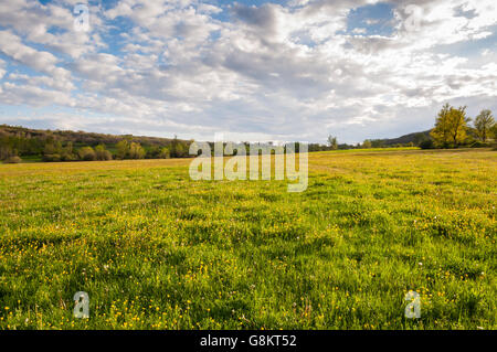 Mähwiesen im Fenar Tal, La Robla-Gemeinde in der Provinz Leon, Spanien Stockfoto