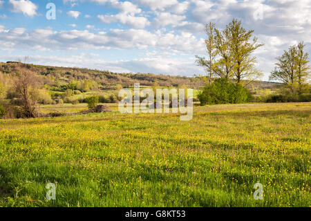 Mähwiesen im Fenar Tal, La Robla-Gemeinde in der Provinz Leon, Spanien Stockfoto