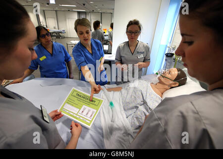 Stör besucht geschichtet Medizinzentrum Stockfoto