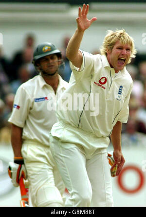 Der englische Matthew Hoggard feiert am vierten Tag des vierten npower-Test-Spiels in Trent Bridge, Nottingham, Sonntag, 28. August 2005, die 11 Läufe des australischen Adam Gilchrist LBW. DRÜCKEN SIE VERBANDSFOTO. Bildnachweis sollte lauten: Gareth Copley/PA. Stockfoto