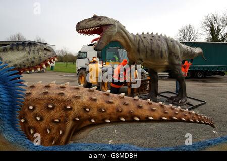 Ein Lastwagen von Dinosauriern wird im Port Lympne Wild Animal Park in der Nähe von Ashford, Kent, entladen, da die 24 lebensgroßen und anatomisch korrekten Dinosauriernachbildungen aus Deutschland kommen und als Dauerausstellung mit 103 der Replikatdinosaurier, die dieses Ostern eröffnet werden, im Park aufgestellt werden. Stockfoto