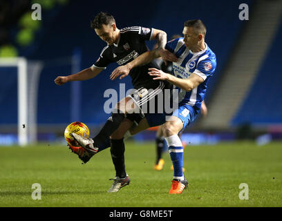 Andrew Crofts von Brighton und Hove Albion (rechts) und Josh von Brentford McEachran kämpft um den Ball Stockfoto