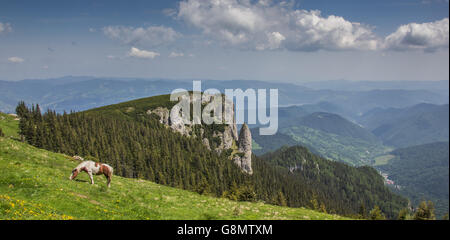 Panorama der Karpaten in der Nähe von Ceahlau, Rumänien Stockfoto