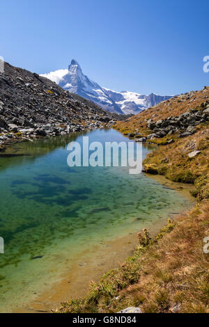 Das Matterhorn im Morgengrauen von stellisee Zermatt im Kanton Wallis Walliser Alpen Schweiz Europa gesehen Stockfoto