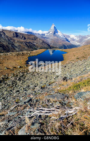 The tip of the Matterhorn is reflected in lake Stellisee Zermatt Canton of  Valais Pennine Alps Switzerland Europe Stockfoto