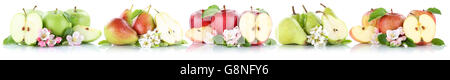Apfel und Birne Sammlung Äpfel Birnen Frucht geschnitten Früchte in einer Reihe auf einem weißen Hintergrund isoliert Stockfoto