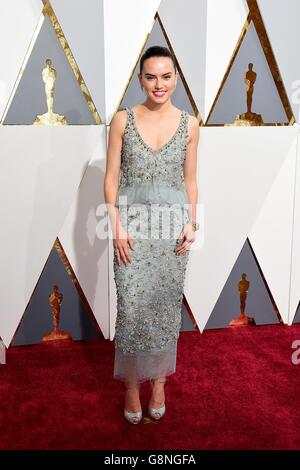 Daisy Ridley bei den 88. Academy Awards im Dolby Theater in Hollywood, Los Angeles, CA, USA, 28. Februar 2016. Stockfoto