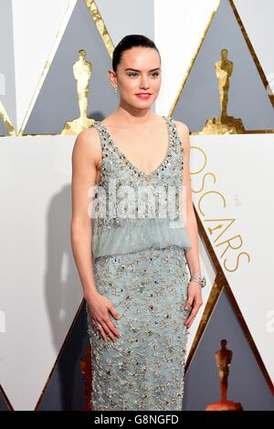 Daisy Ridley bei den 88. Academy Awards im Dolby Theater in Hollywood, Los Angeles, CA, USA, 28. Februar 2016. Stockfoto