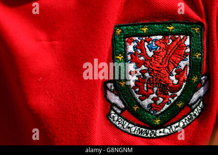Fußball - FIFA Fußball-Weltmeisterschaft 2006 Qualifikation - Gruppe sechs - Wales gegen England - Millennium Stadium. Wales-Abzeichen Stockfoto