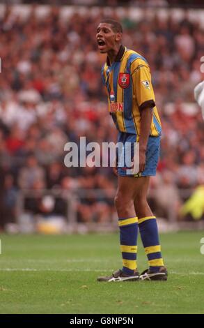 Fußball - FA Carling Premiership - Derby County / Southampton. Carlton Palmer, Southampton Stockfoto