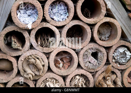 Insektenhotel mit Nest Plätzen in Tonpfeifen Stockfoto