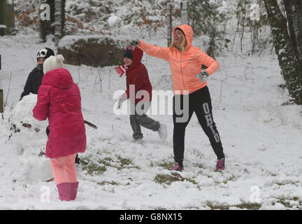 Frühlingswetter 4. März 2016 Stockfoto