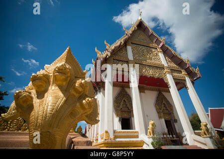 der Wat Burapharam Tempel in der Stadt Surin im Isan in Thailand. Stockfoto