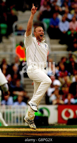 Der englische Andrew Flintoff feiert das Wicket von Matthew Hayden, Australien, am vierten Tag des fünften npower-Test-Spiels im Brit Oval, London, Sonntag, 11. September 2005. DRÜCKEN Sie VERBANDSFOTO. Bildnachweis sollte lauten: Rui Vieira/PA. Stockfoto