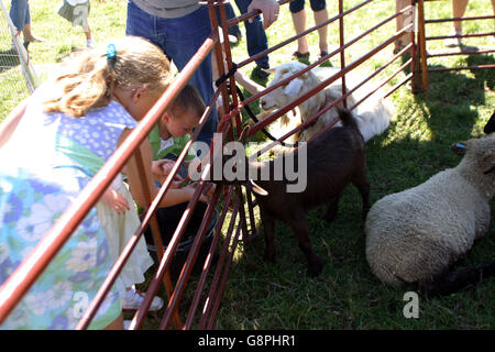 Pferderennen - Familienfunday - Epsom Downs Rennbahn. Kinder genießen den Familienfunday in Epsom Stockfoto