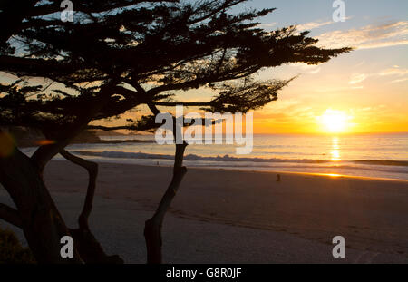 Carmel Kalifornien Zypresse und Wellen bei Sonnenuntergang am Meer am Strand unterhalb der Stadt in der Nähe von Pebble Beach Stockfoto