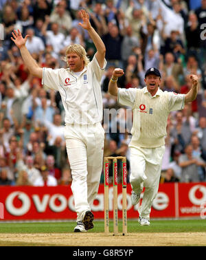 Der englische Matthew Hoggard feiert am vierten Tag des fünften npower-Test-Spiels im Brit Oval, London, am Sonntag, 11. September 2005, das Wicket von Michael Clarke in Australien. DRÜCKEN Sie VERBANDSFOTO. Bildnachweis sollte lauten: Rui Vieira/PA. Stockfoto