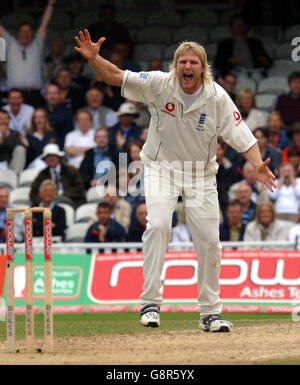 Der englische Matthew Hoggard feiert am vierten Tag des fünften npower-Test-Spiels im Brit Oval, London, am Sonntag, 11. September 2005, das Wicket des australischen Adam Gilchrist. DRÜCKEN Sie VERBANDSFOTO. Bildnachweis sollte lauten: Sean Dempsey/PA. Stockfoto