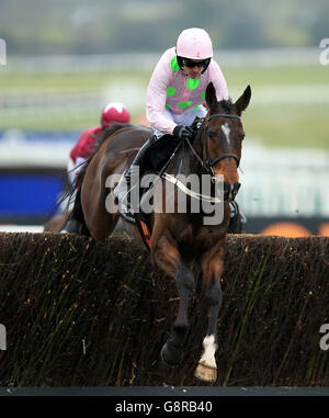 2016 Cheltenham Festival - Champion Tag - Cheltenham Racecourse Stockfoto