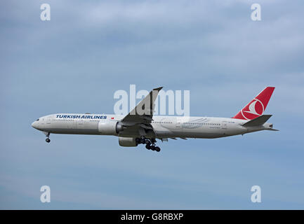 Turkish Airlines Airbus 321-231 (Uludag) am Flughafen London Heathrow zu landen.  SCO 10.481. Stockfoto