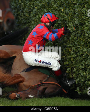 Balthazar King geritten von Jockey Richard Johnson fällt während der Glenfarcla Chase während Ladies Day des Cheltenham Festival 2016 auf der Cheltenham Rennbahn. Stockfoto