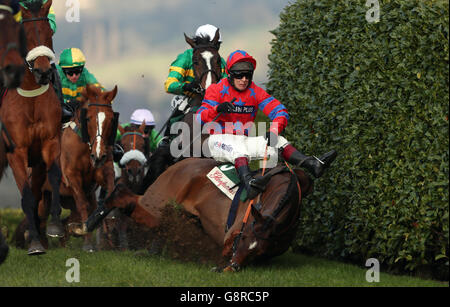 2016 Cheltenham Festival - Ladies Day - Cheltenham Racecourse Stockfoto