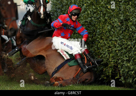 2016 Cheltenham Festival - Ladies Day - Cheltenham Racecourse Stockfoto