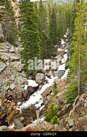 Ein wilder Bach in den Rocky Mountains in Colloredo Stockfoto