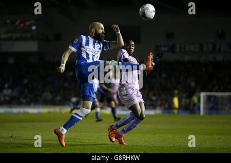 Brighton und Hove Albion gegen Reading - Sky Bet Championship - AMEX Stadium. Bruno Saltor von Brighton und Hove Albion und Ola John von Reading (rechts) kämpfen um den Ball Stockfoto