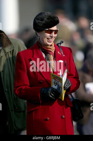 2016 Cheltenham Festival - St. Patrick's Thursday - Cheltenham Racecourse. Die Prinzessin Royal während des St. Patrick's Donnerstag des Cheltenham Festivals 2016 auf der Cheltenham Rennbahn. Stockfoto