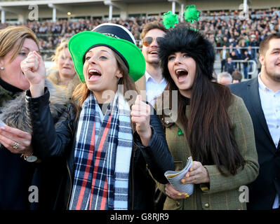 Weibliche Rennegoerinnen feuern die Pferde während der Hürde des Trull House Gestüts Mares für Novizen während des St. Patrick's Donnerstag des Cheltenham Festivals 2016 auf der Pferderennbahn Cheltenham an. Stockfoto