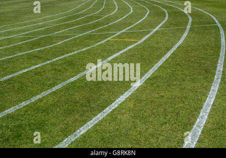 Leichtathletikbahn weiß auf einer Wiese gesäumt Stockfoto