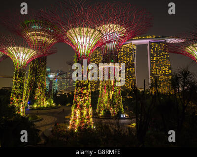 Singapur von Gärten an der Bucht in der Nacht. Stockfoto
