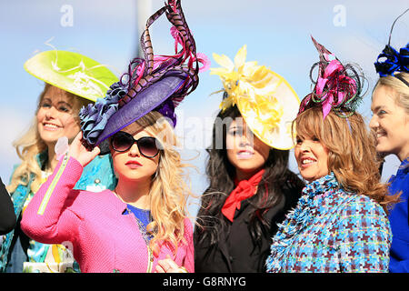 2016 Cheltenham Festival - Ladies Day - Cheltenham Racecourse Stockfoto